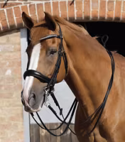 Premier Equine Luigi Plain Leather Reins Black