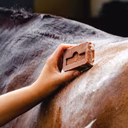 Kevin Bacon´s Active Soap Anti-Itch Soap