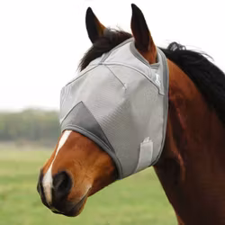 Cashel Company flugmask utan öron