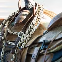 Weaver Silvertip Horseman's Braid Mecate - Tan/Black/Brown