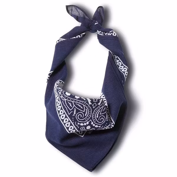 Stars & Stripes Bandana Navy
