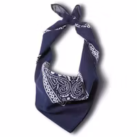 Stars & Stripes Bandana Navy