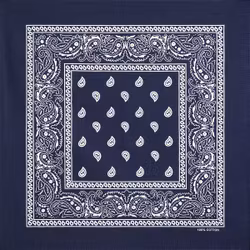 Stars & Stripes Bandana Navy