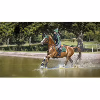 Le Mieux Suede Close Contact Square Hunter Green Large