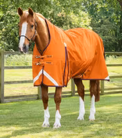 Premier Equine Buster Hardy Half Neck 200 g B