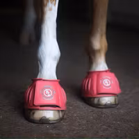 Hansbo Sport gummiboots HS med kardborrband