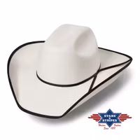 Stars & Stripes Westernhat Iowa Silverbelly B