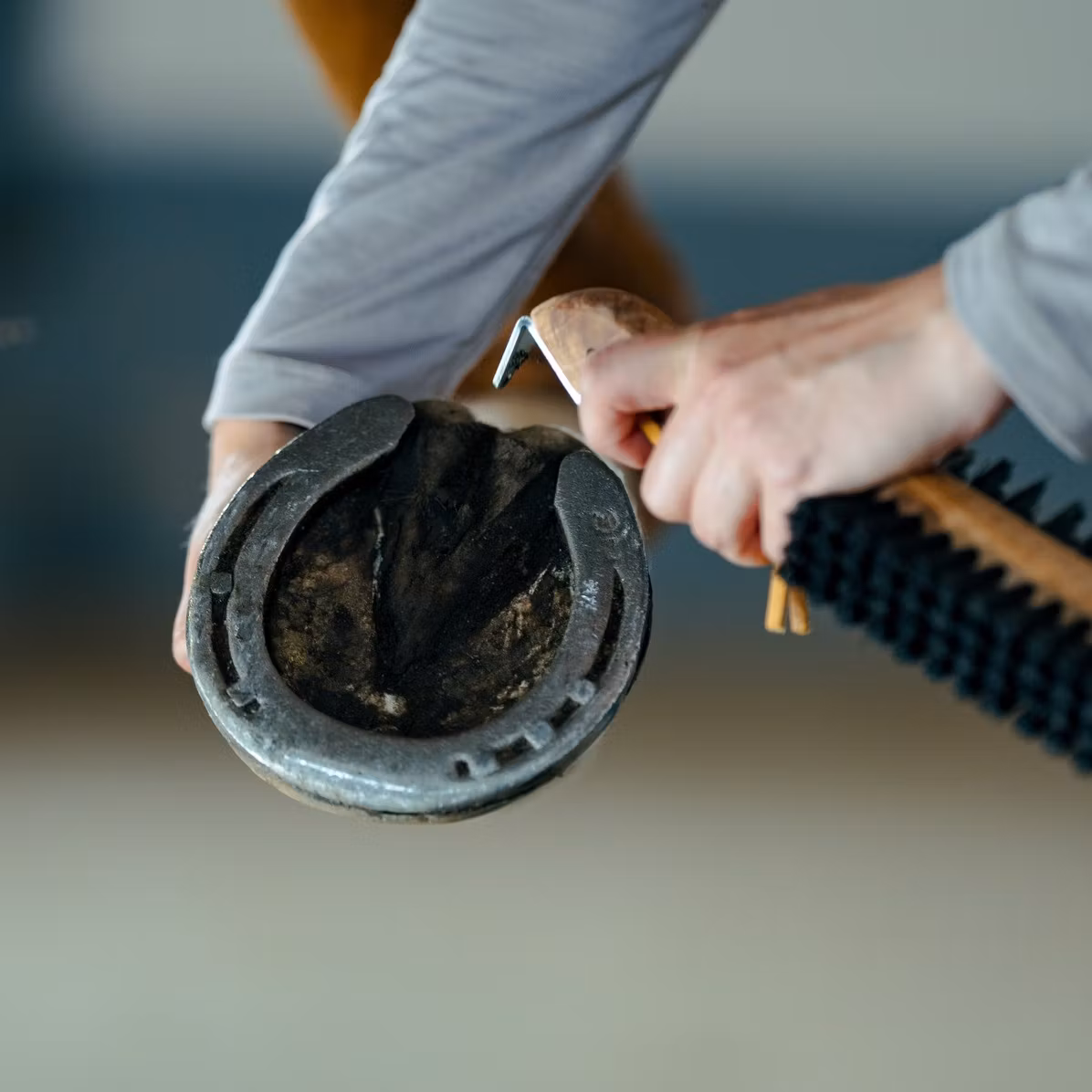 Borstiq Hovborste dubbelsidig med hovkrats