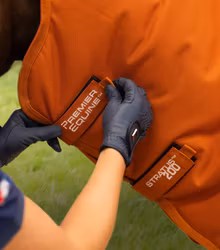 Stratus 1200 Series Turnout Rug with Classic Neck Cover B