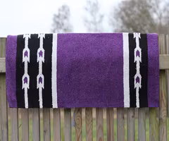 All That Saddle Blanket Pony