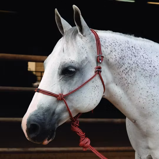 Professional´s Choice Easy On Ropehalter with lead