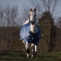 Busse Turnout Rug Windchill 50