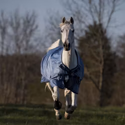 Busse Turnout Rug Windchill 50