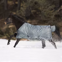 Busse Turnout Rug Windchill 100