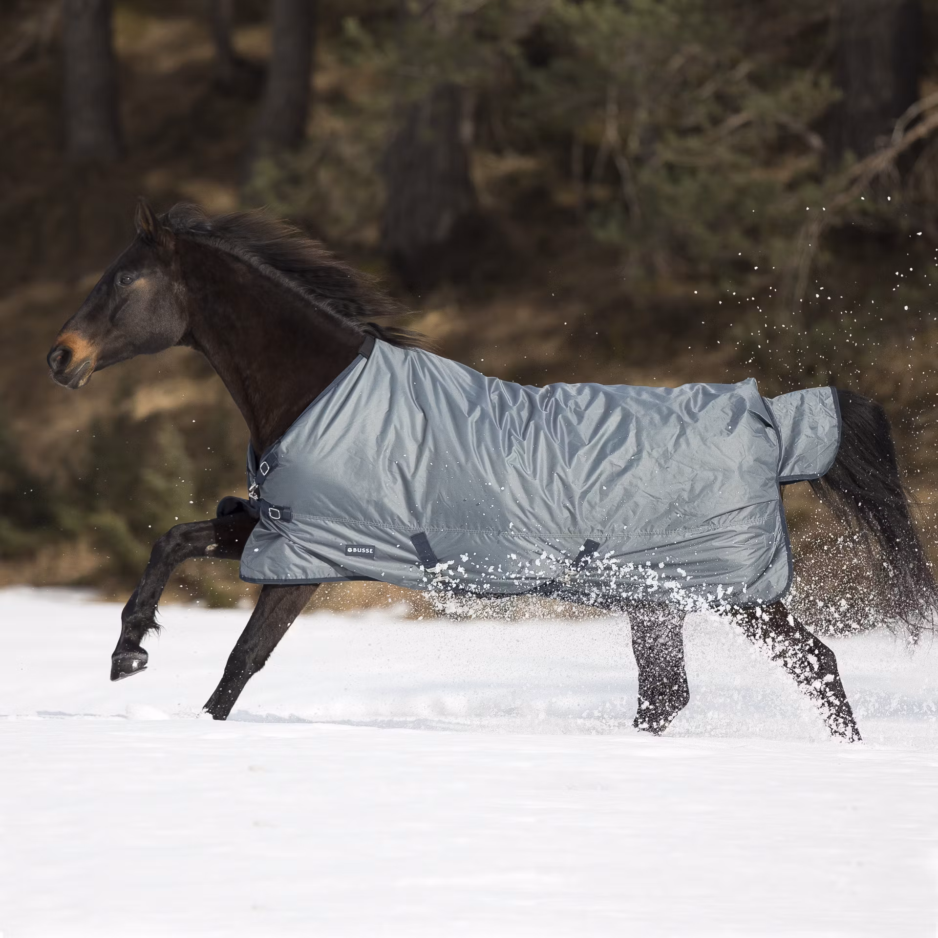 Busse Turnout Rug Windchill 200