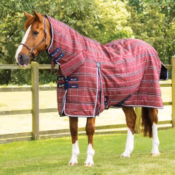 Domus Combo Stable Rug Burgundy Check 200 g