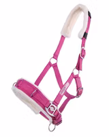 QHP Kapson Fuchsia