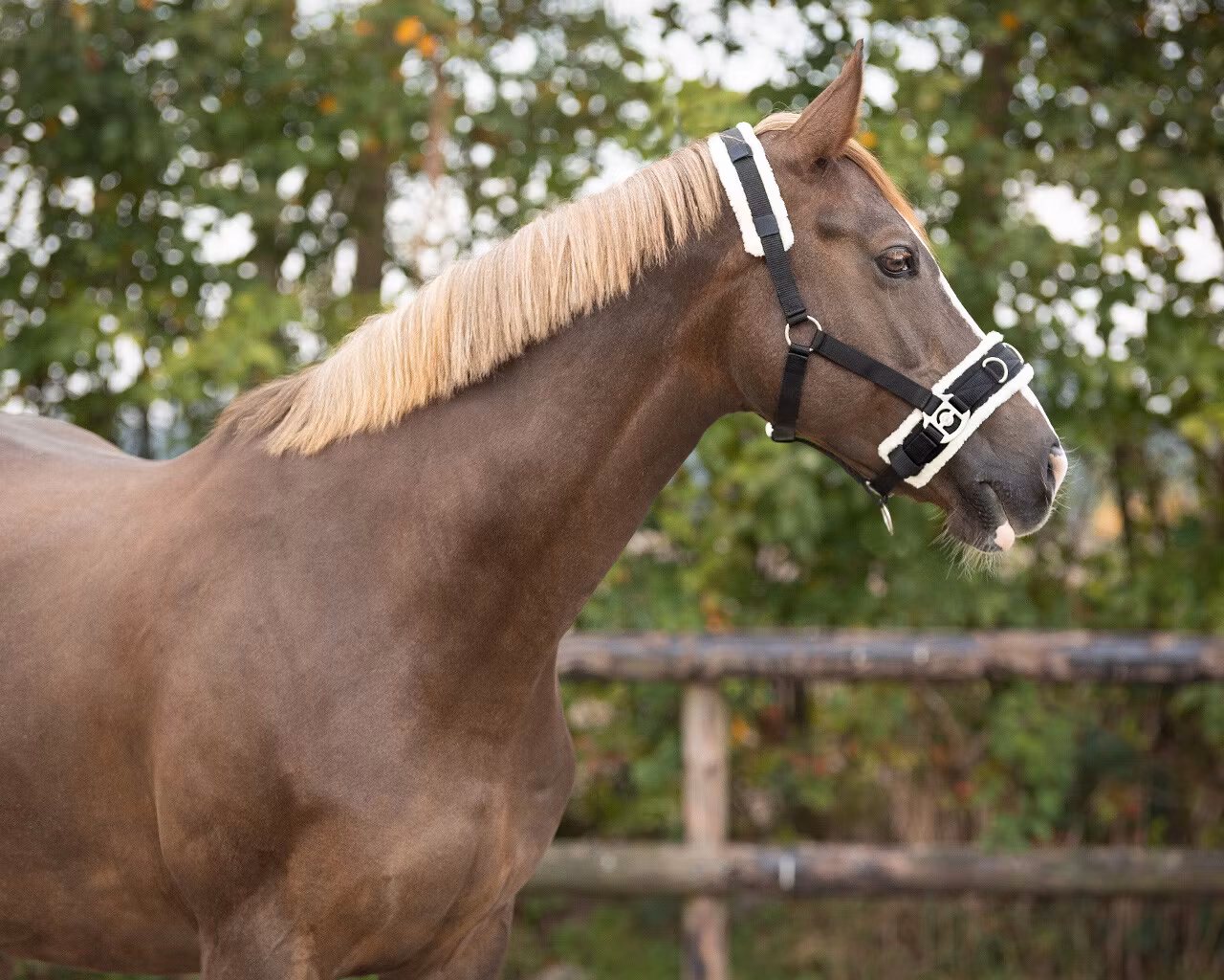 QHP Kapson Svart