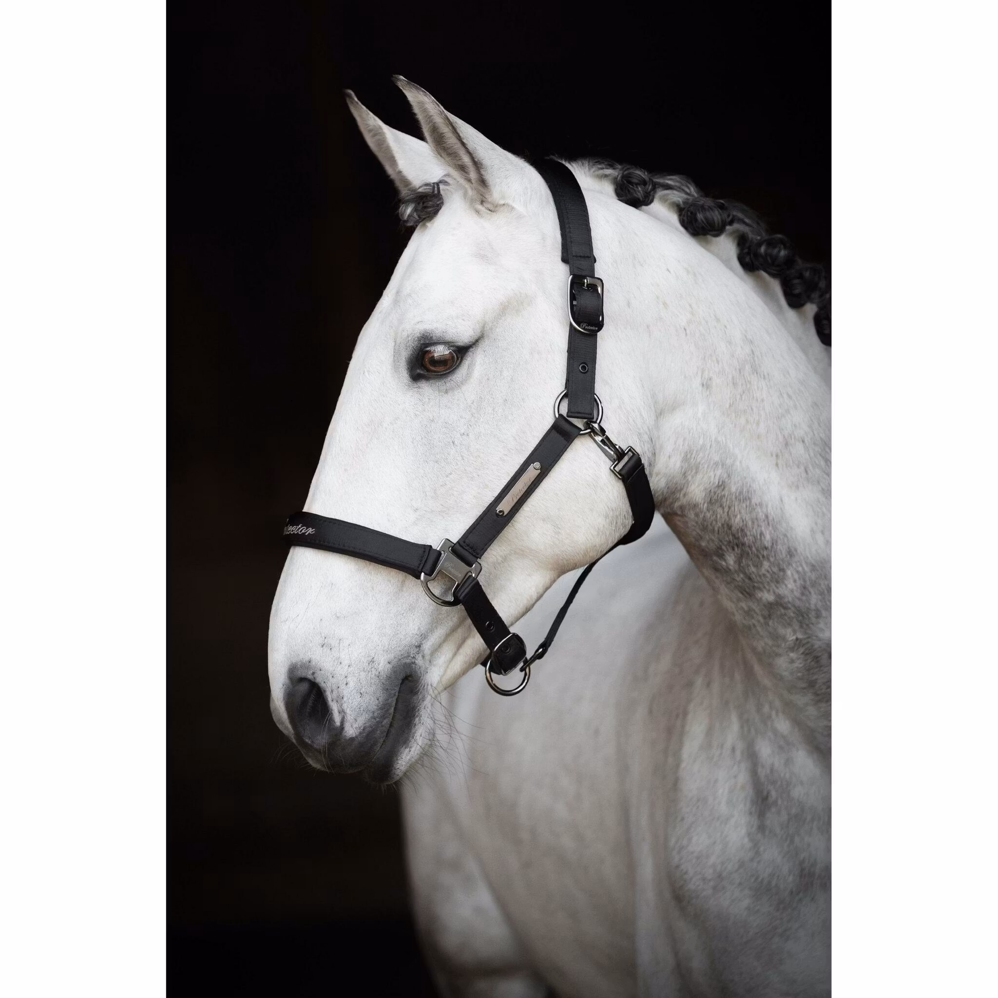 Protector Grimma Duster Svart