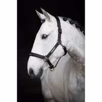 Protector Grimma Duster Svart