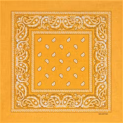 Stars & Stripes Bandana Yellow