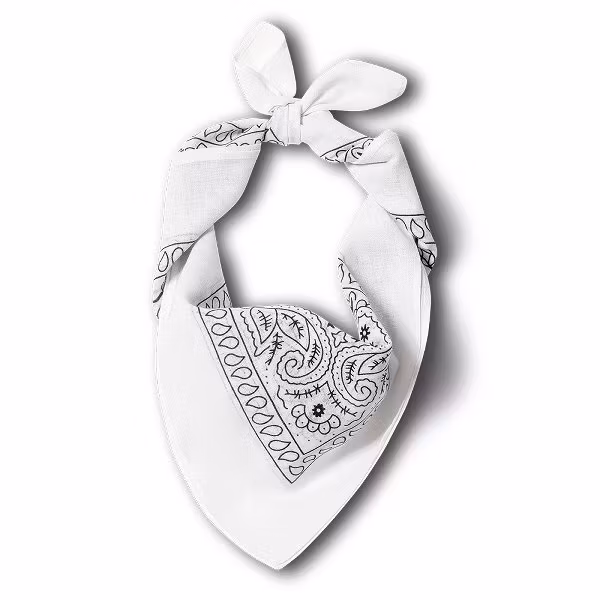 Stars & Stripes Bandana White