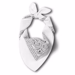 Stars & Stripes Bandana White