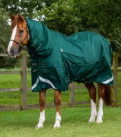 Buster Storm 220g Combo Turnout Rug with Classic Neck Green