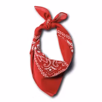 Stars & Stripes Bandana Red