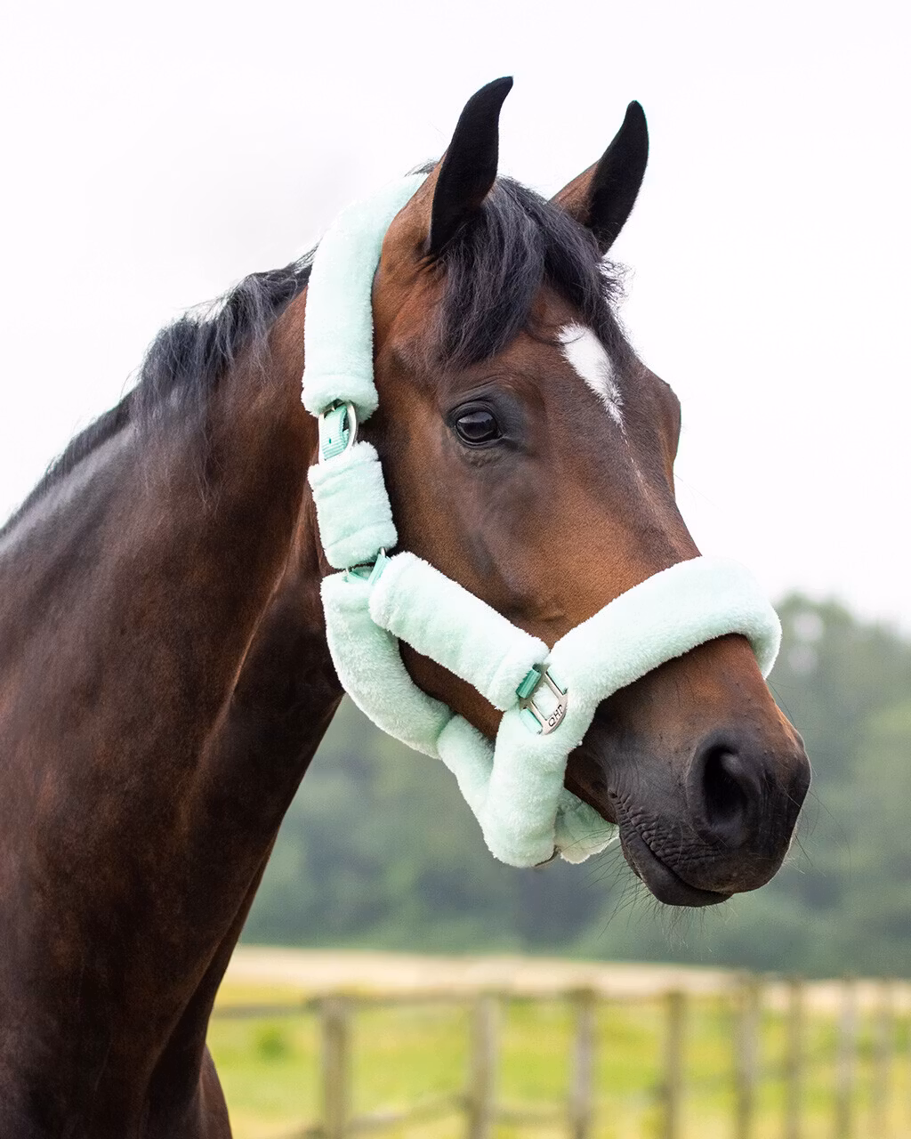 QHP Grimma Alaska Mint