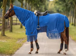 Busse Riding Rug Mosquito Finges III Royal Summer