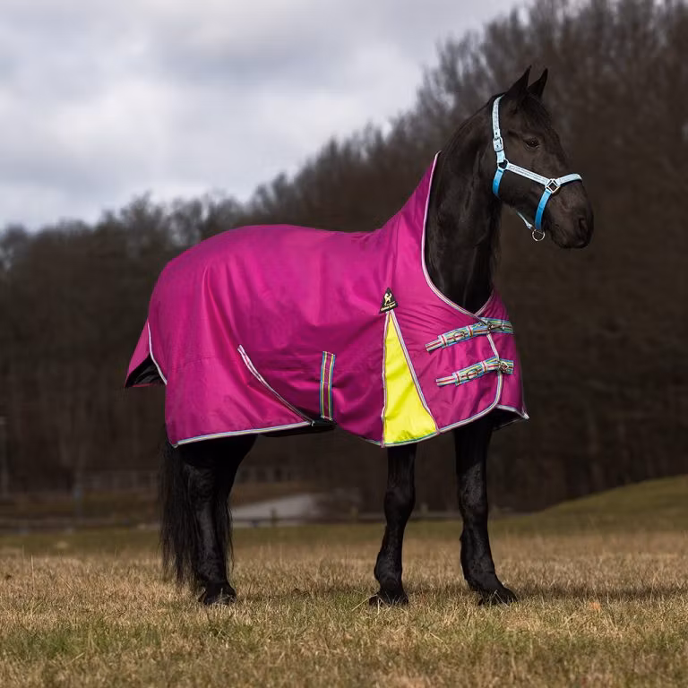 Globus Sport Utegångstäcke Tarzan 100 g