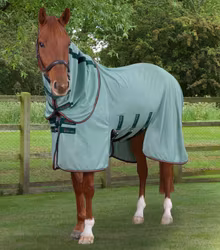 Bug Buster Fly Rug with Detachable Neck and Belly Flap Green