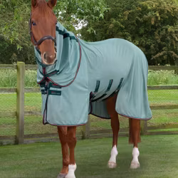 Bug Buster Fly Rug with Detachable Neck and Belly Flap Green