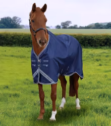Stratus 600D Series 0g Original Turnout Rug Blue