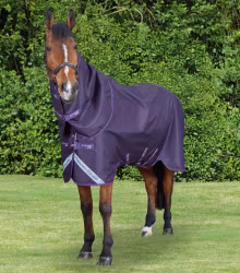 Stratus 600D Series 0g Turnout Rug with Classic Neck Cover Purple
