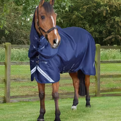 Stratus 600D Series 0g Turnout Rug with Classic Neck Cover Navy