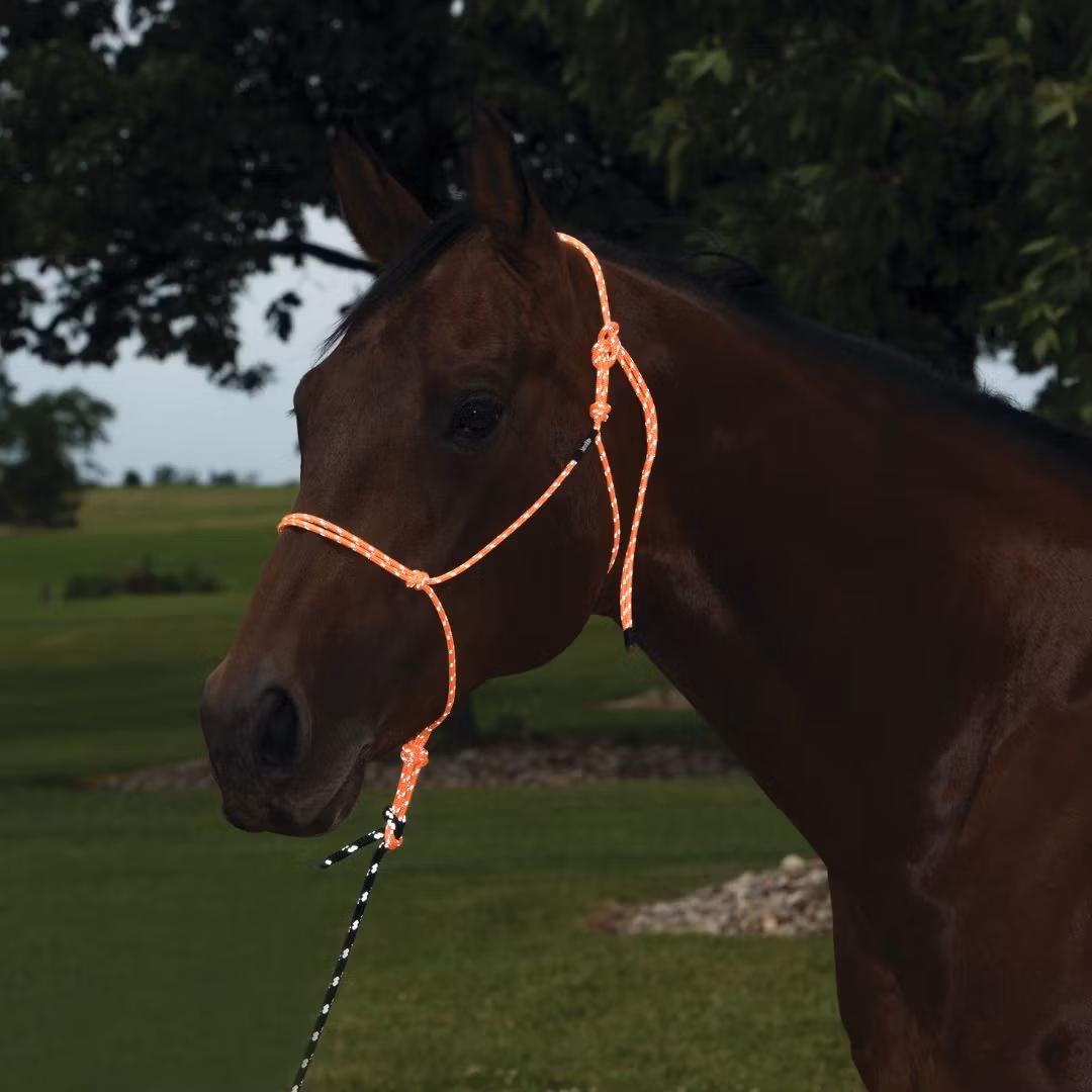 Silvertip Reflective Rope Halters