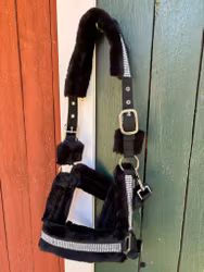 Globus Sport Grimma Pile