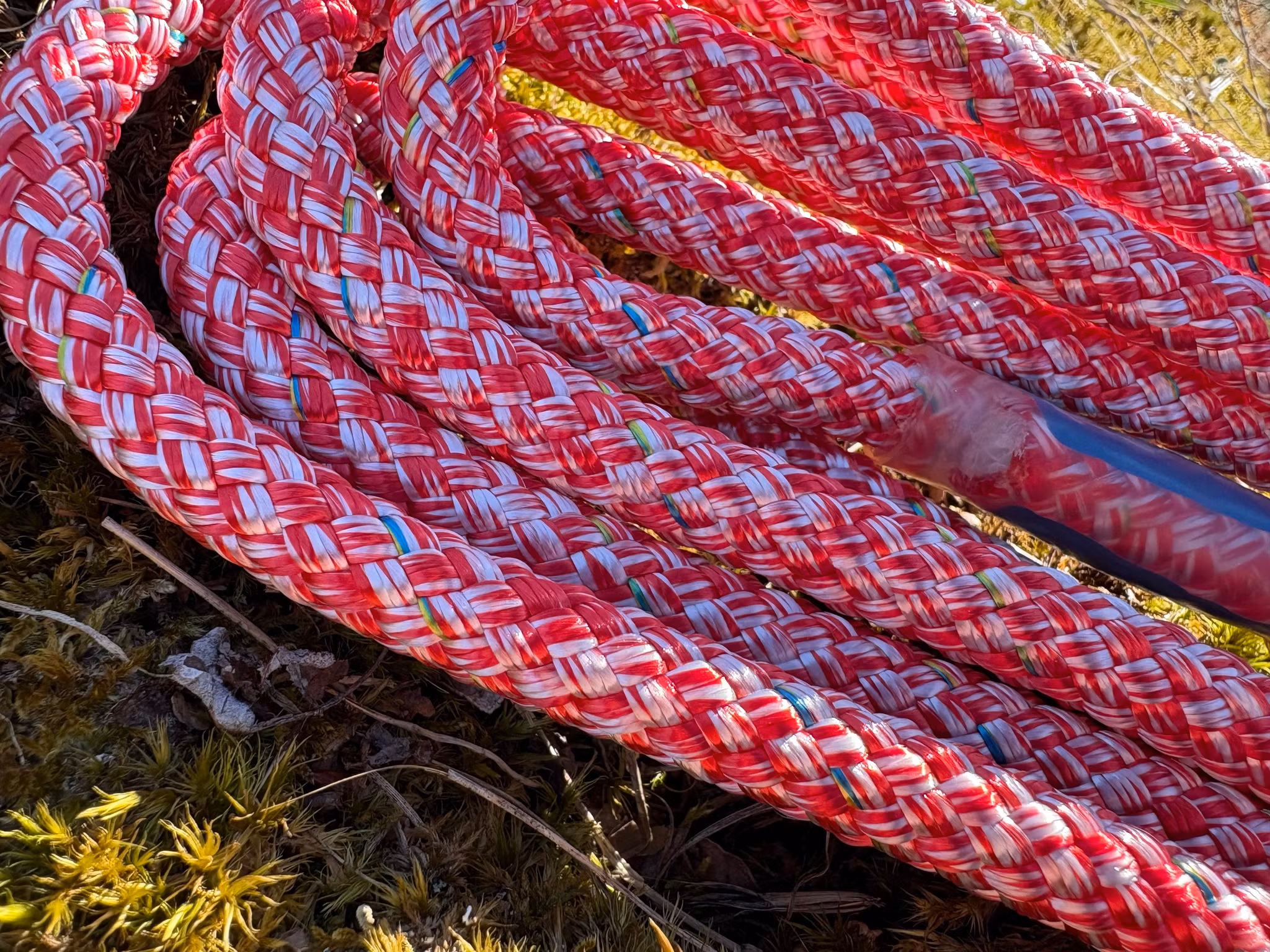 Poly Rope Grimskaft Avant 2.5 Meter Röd/Vit