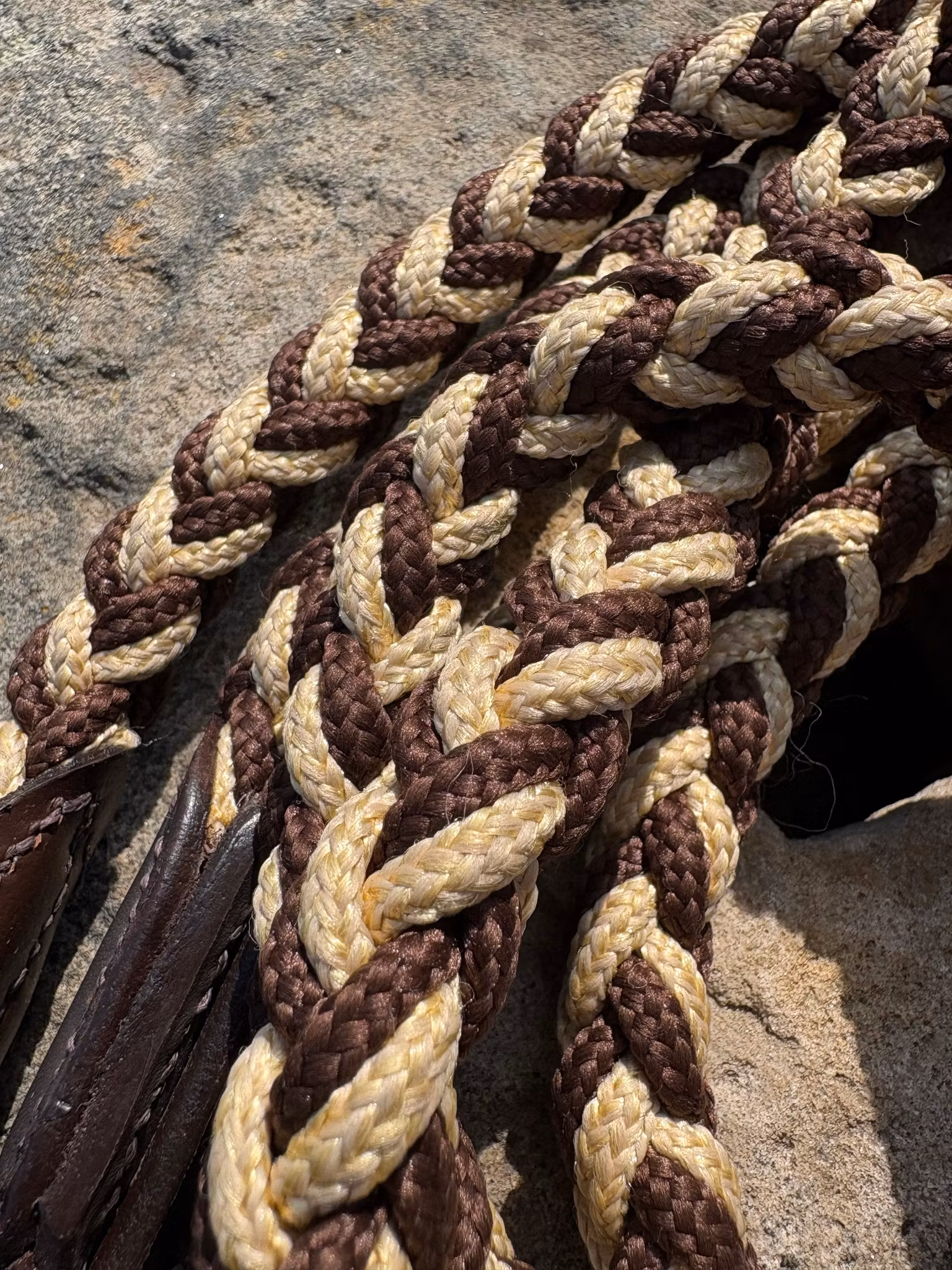 Reptyglar Tamar F.R.A.® Brun/Beige