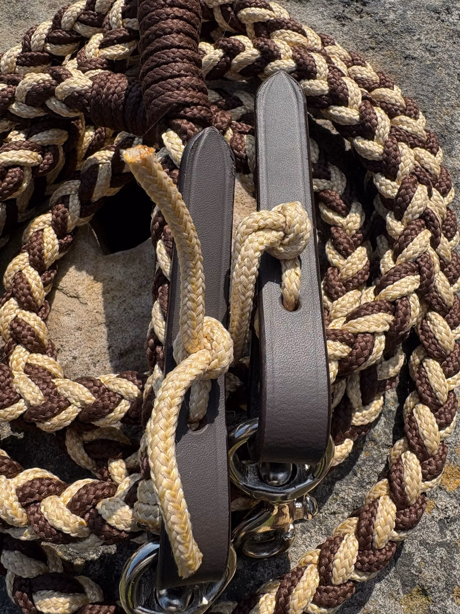 Reptyglar Tamar F.R.A.® Brun/Beige