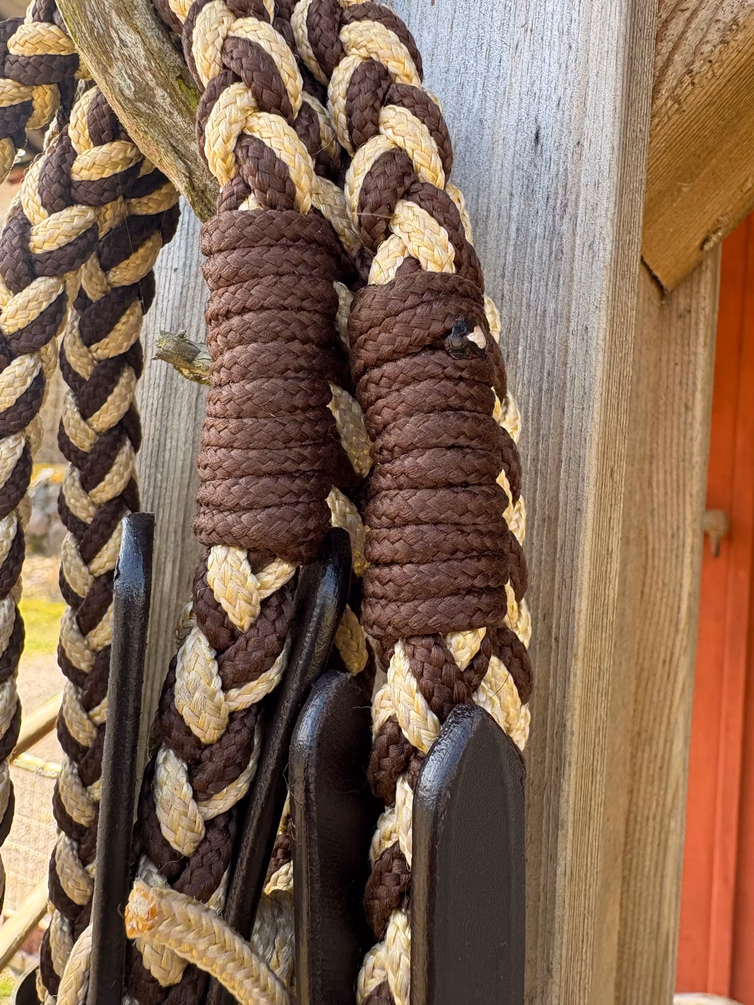 Reptyglar Tamar F.R.A.® Brun/Beige