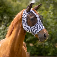 QHP Fly Mask Super Bug Zebra