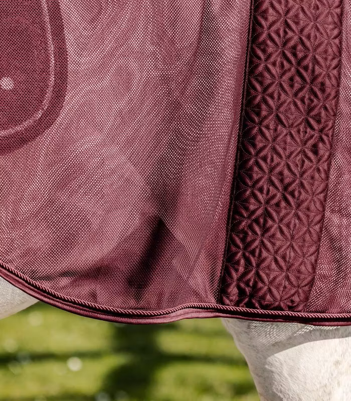 Waldhausen Rom Fly Riding Blanket Wine