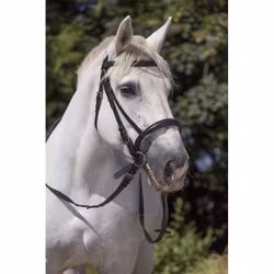 Norton Club Bridle Draught Horse Black