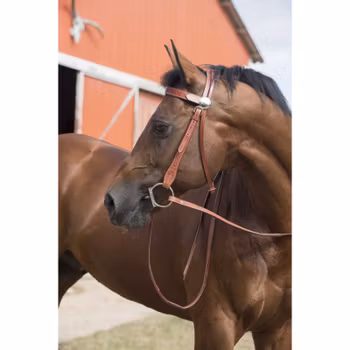 Westride Reins By Franck Perret Weighted Smooth Leather Chestnut