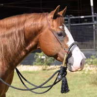 Professional´s Choice Bosal/Mecate Set Black/White 5/8 Yacht Rope