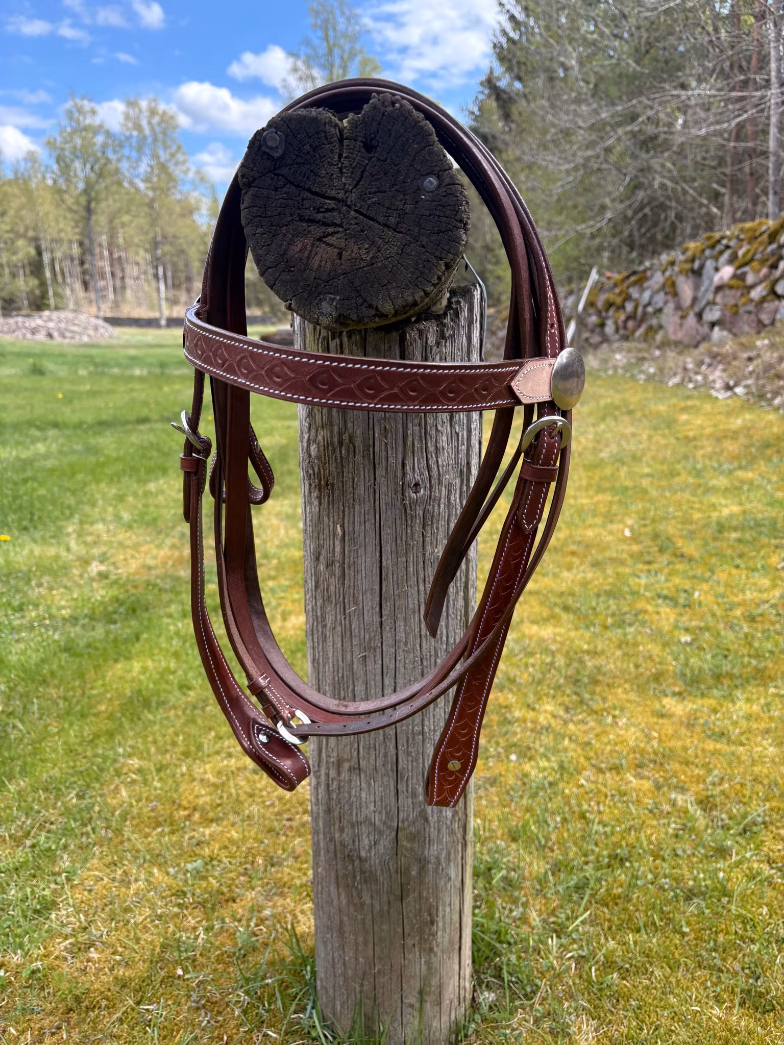 Randol´s Two Tone Bridle