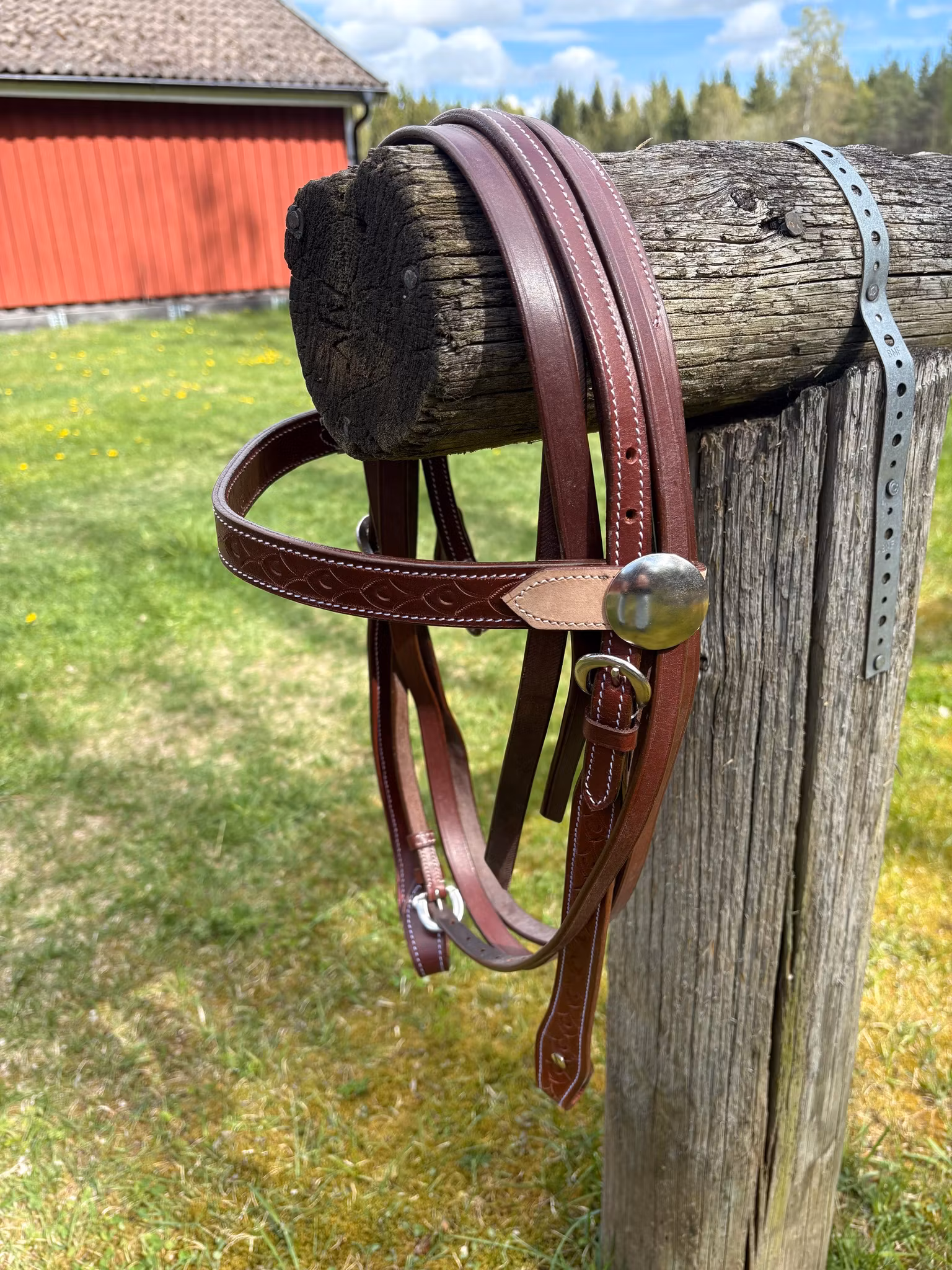 Randol´s Two Tone Bridle